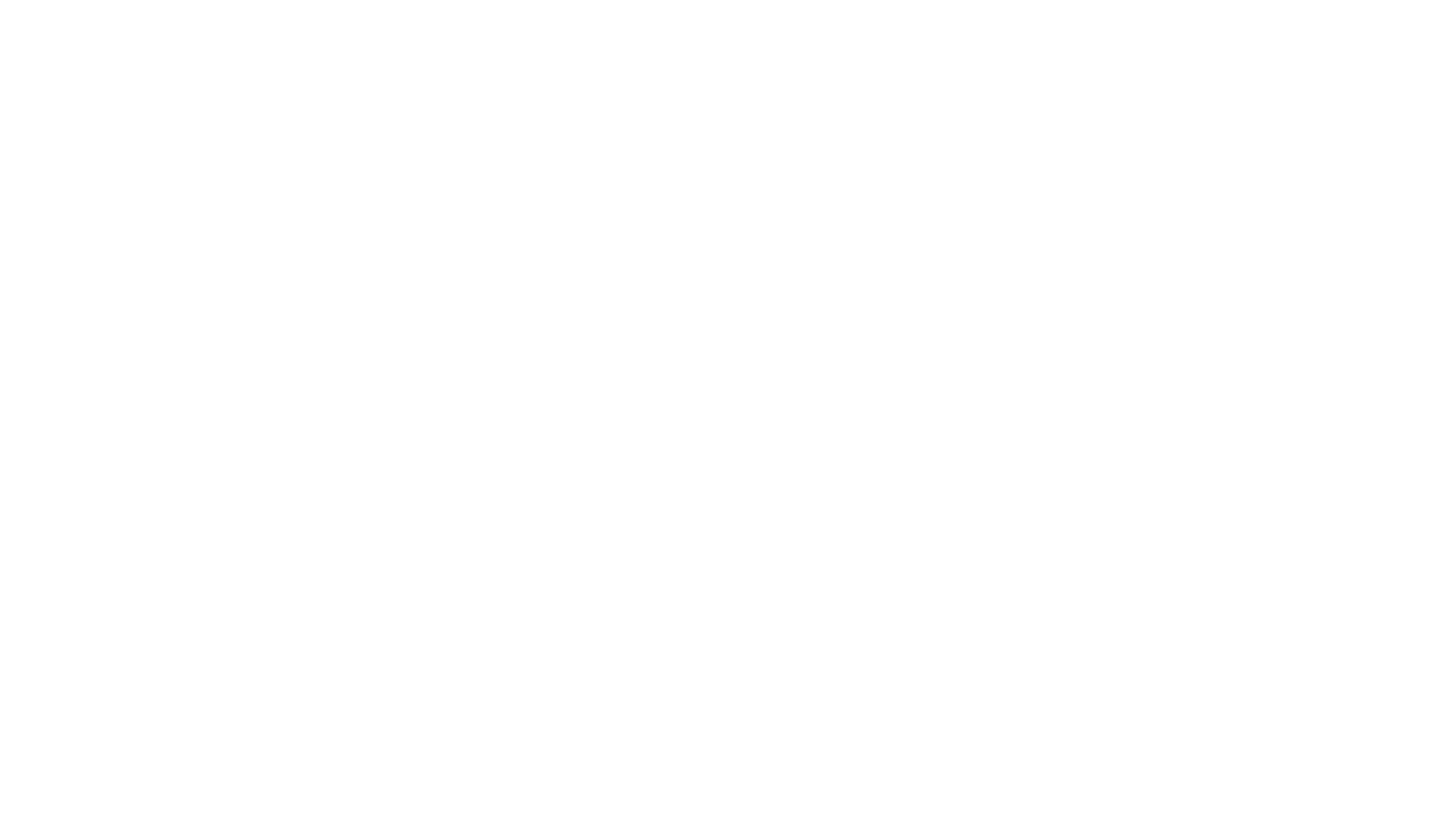 Rally Motors Group Logo